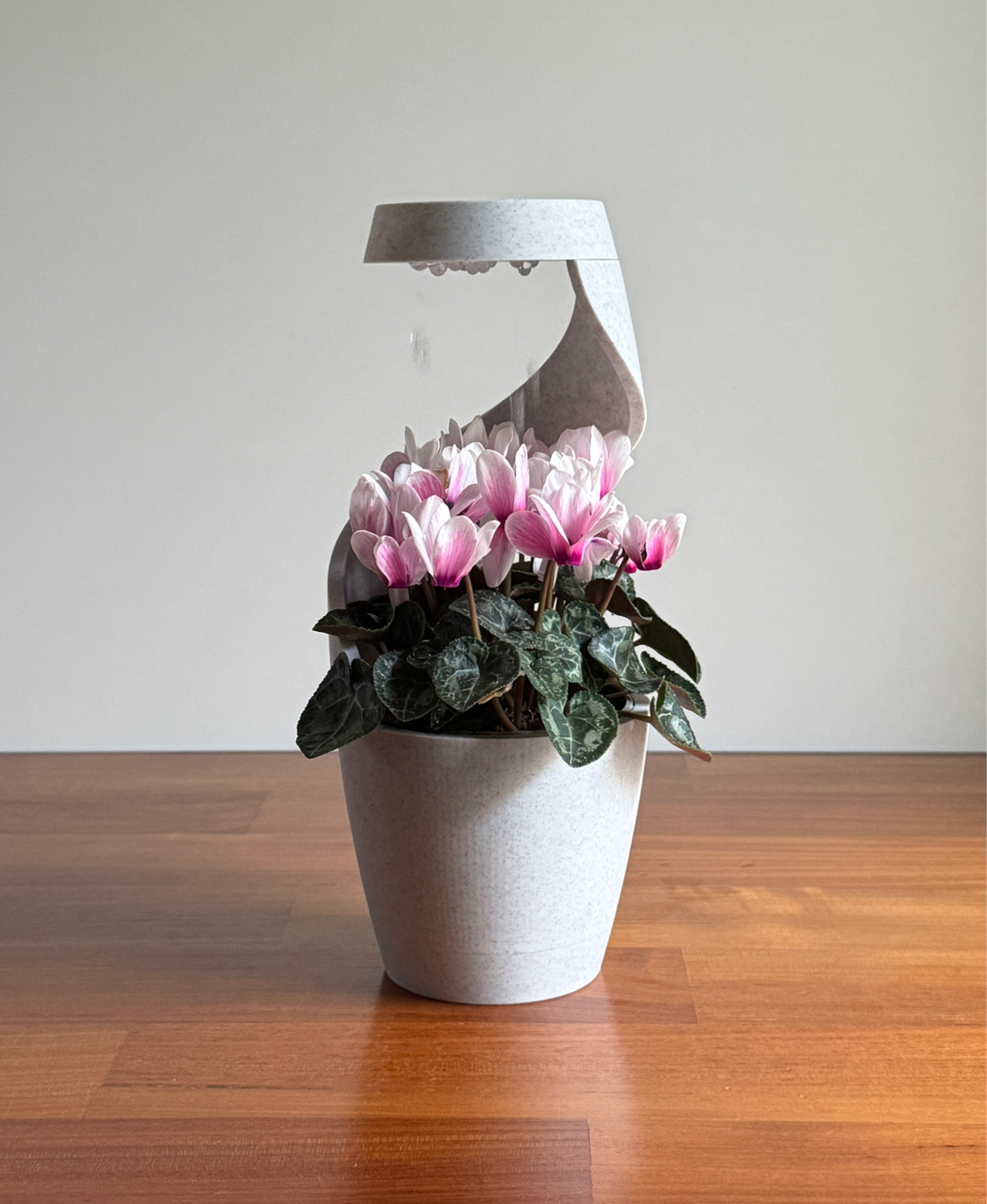 🔥On Sale🔥3D-Printed Planter Mimics Raindrops