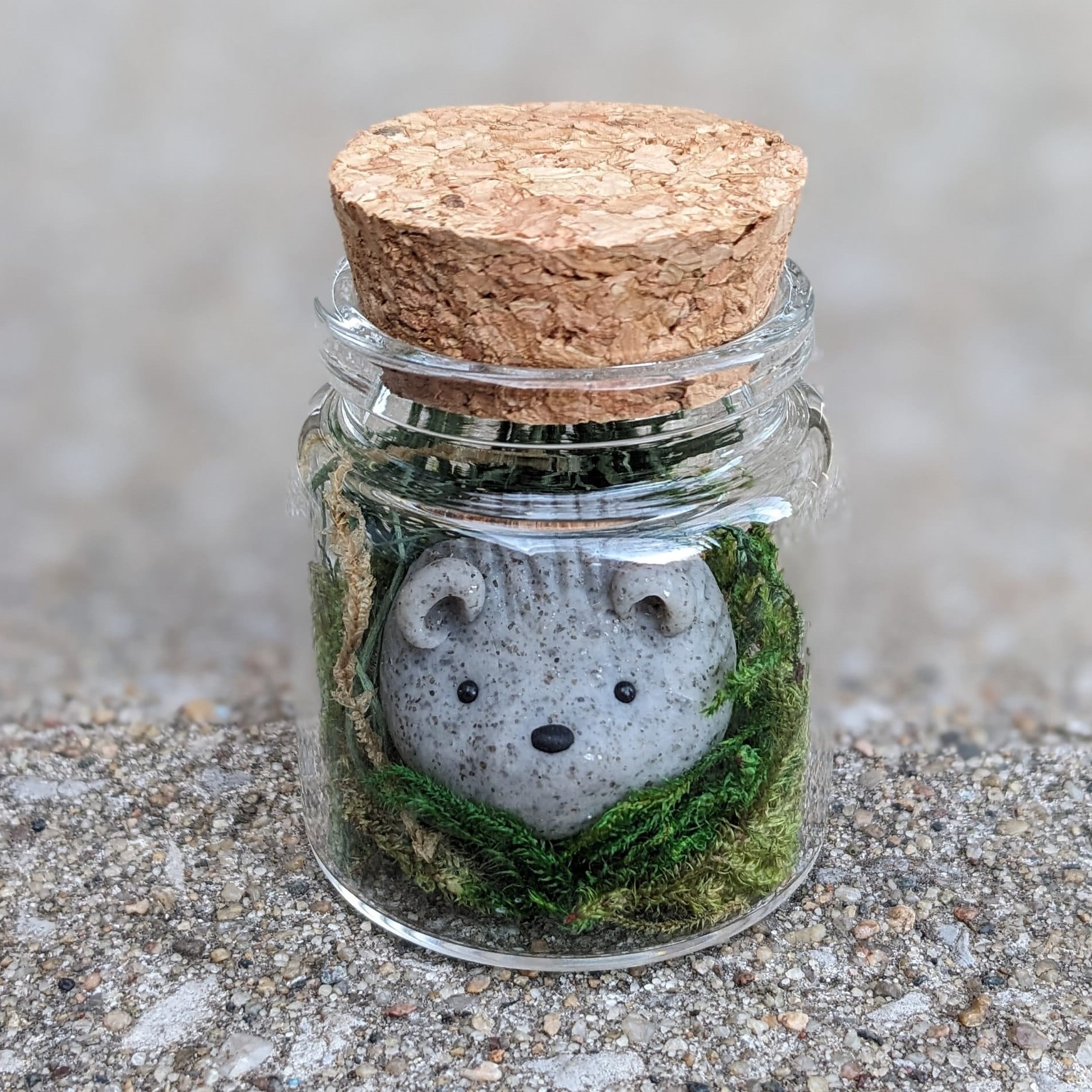 On Sale🔥Adopt A Rock Pet