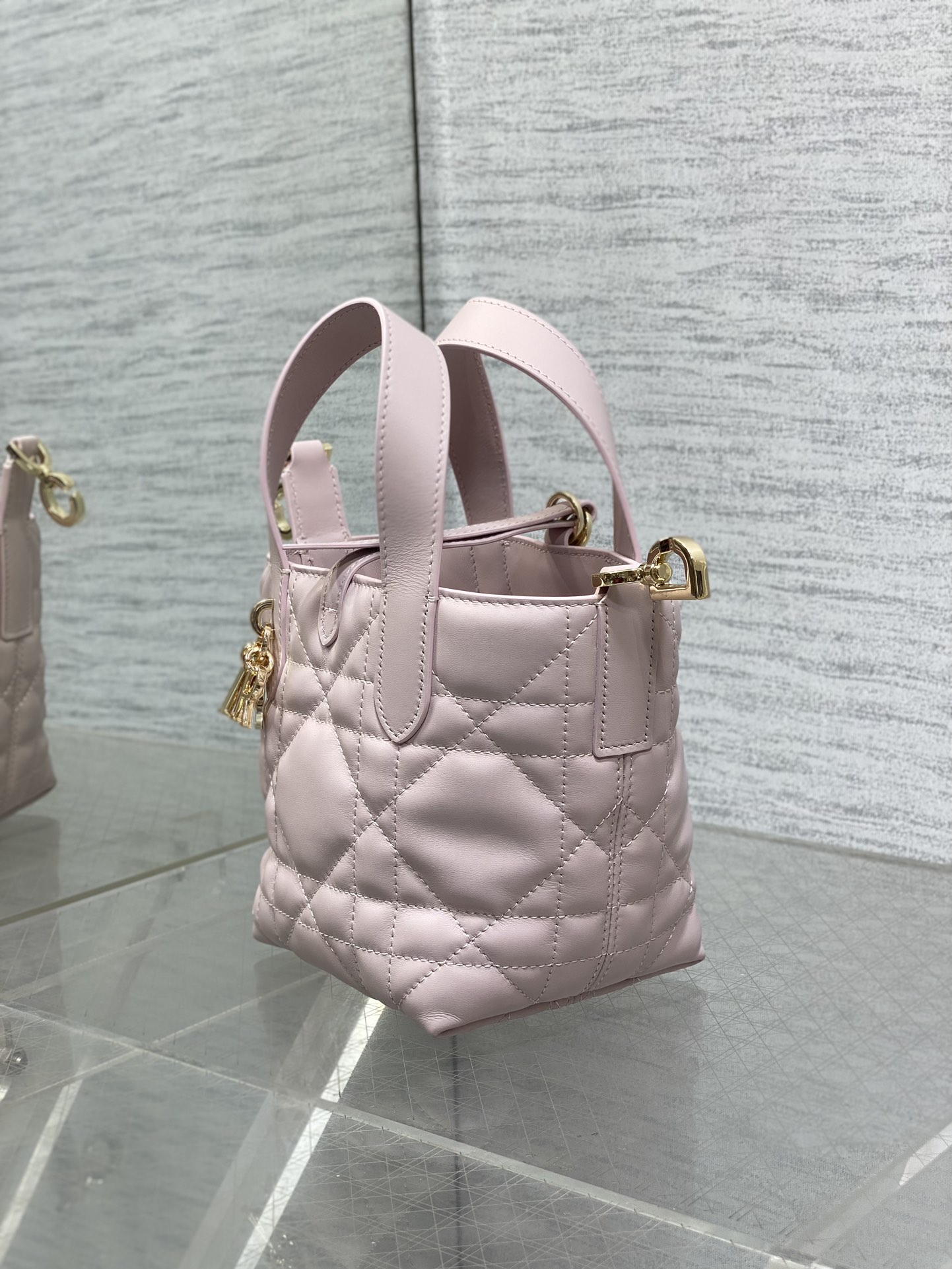 Dior Toujours vertical series mini