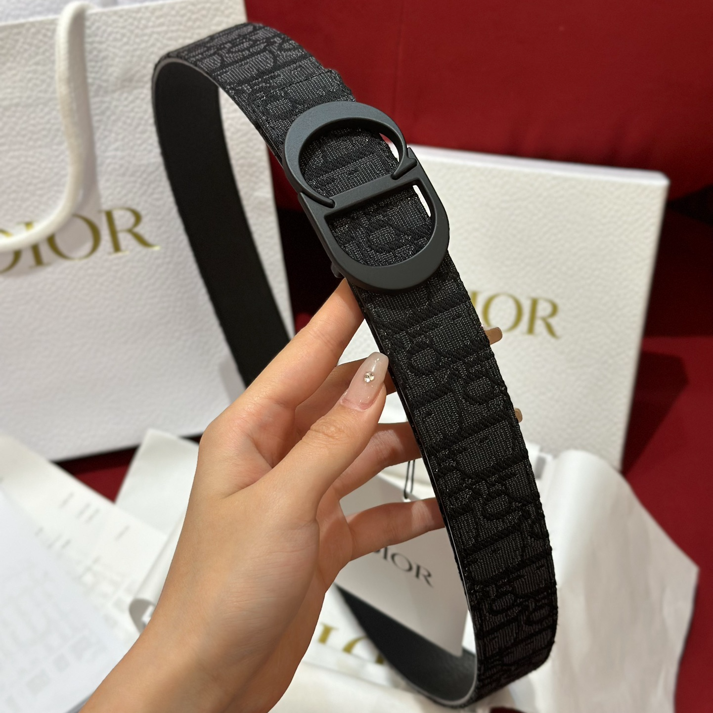 Dior CD Buckle Canvas Leather Belt 3.5CM Width