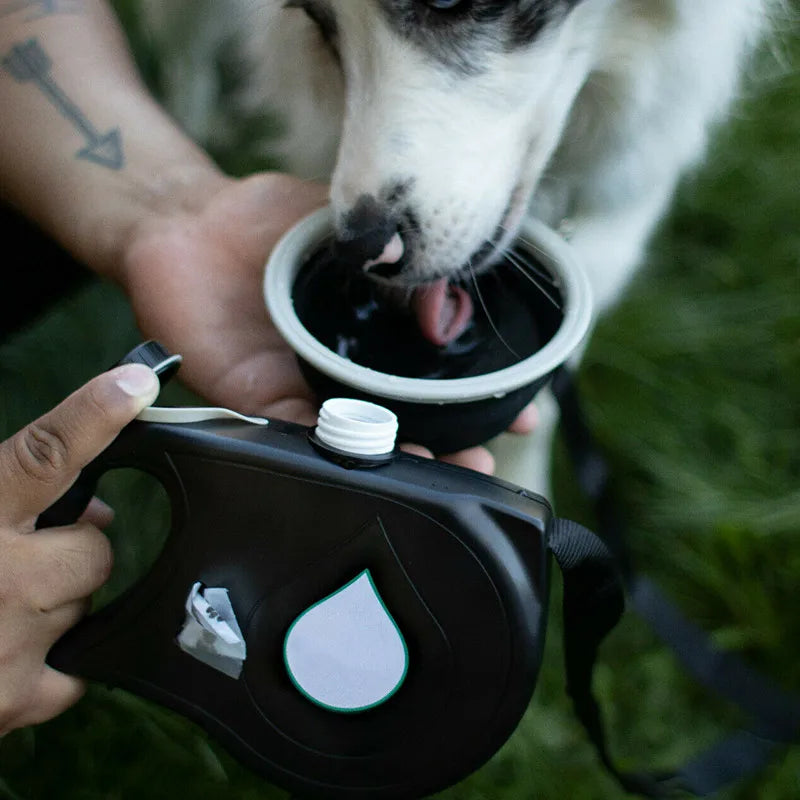 🔥Last Day Promotion 50% OFF - PETGEAR ESSENTIALS:5 in 1 Dog Leash