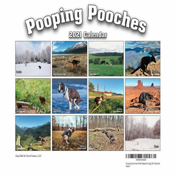 2021 Pooping Pooches White Elephant Gag Gift Calendar Calendar