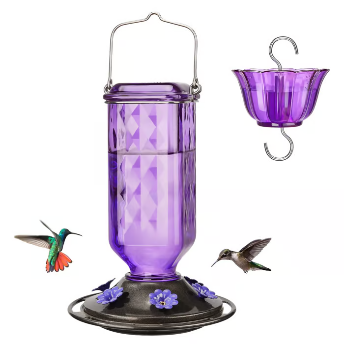 🔥HOT SALE 50% OFF🔥New Hanging Outdoor Glass Hummingbird Feeder With Perch And Built-in Ant Moat🐦