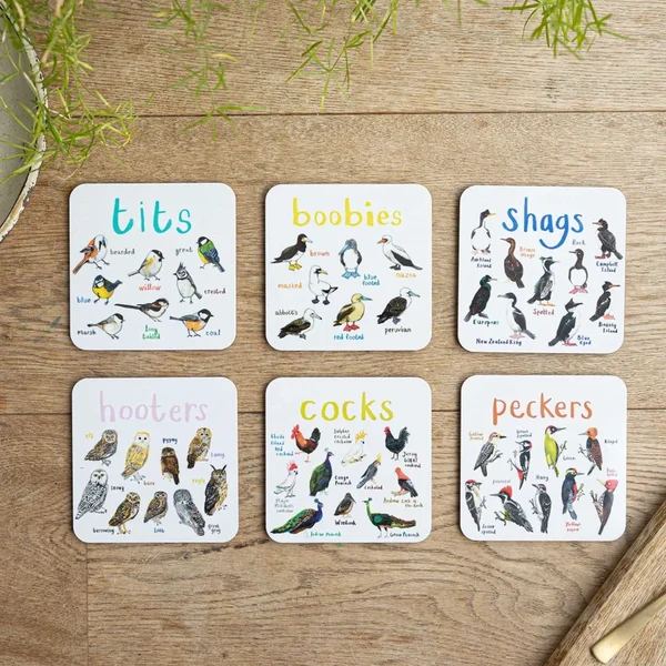 (🔥Last Day Promotion-SAVE 60% OFF)-Set of 6 Bird Pun Coasters