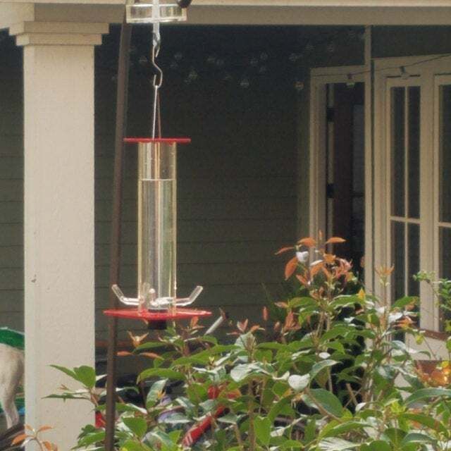 Hummingbird Feeder - Buy 2 Give Free Cleaning Brush and Hook