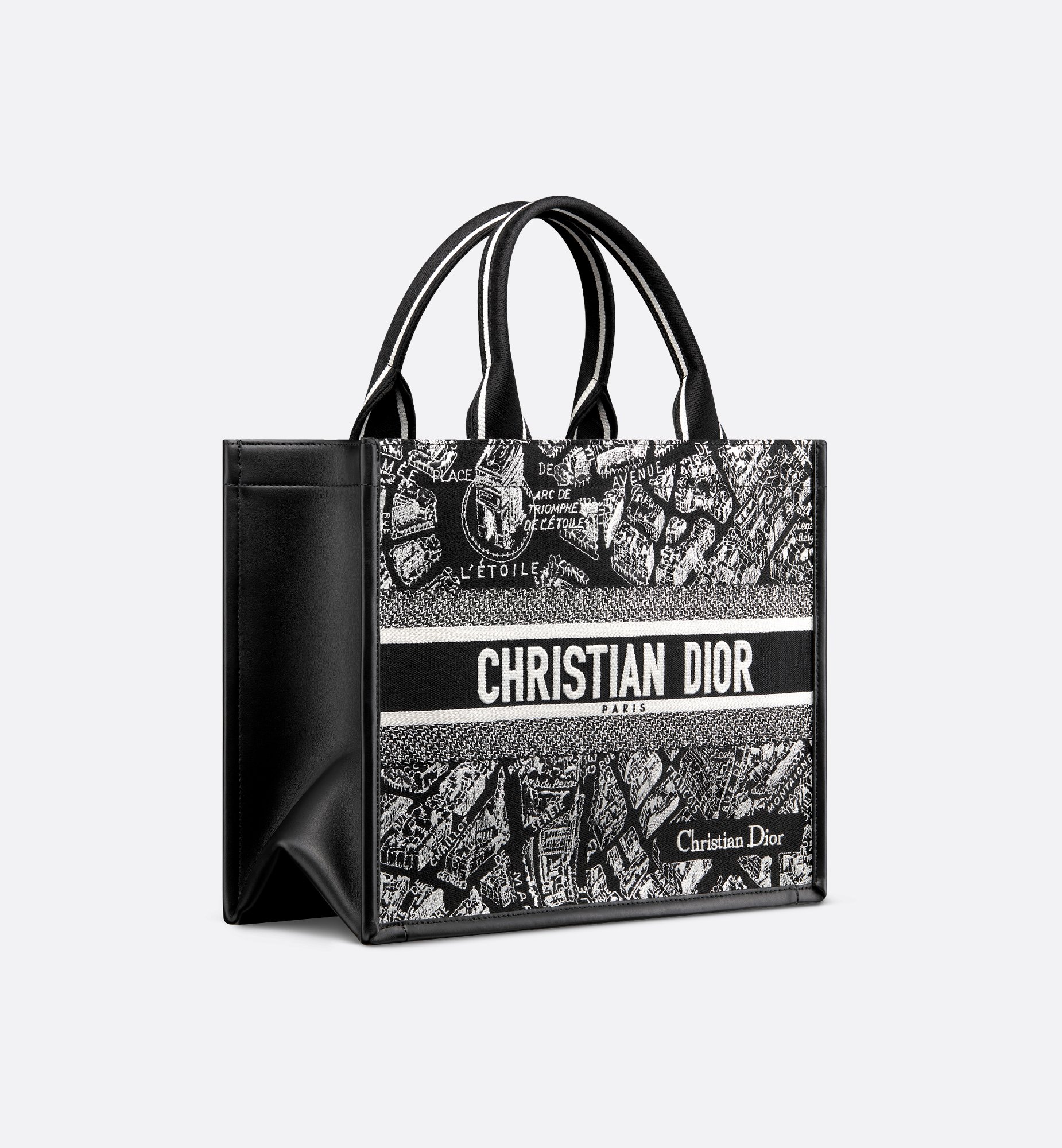 Dior Medium Book Tote Bag M1324CETJ_M46I