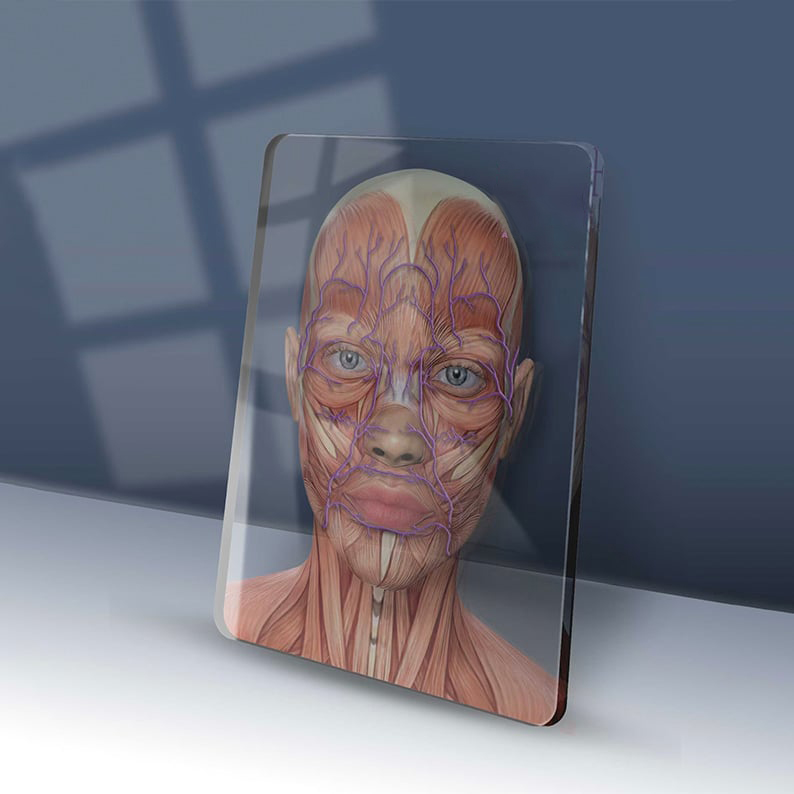 Veins & Arteries Aesthetics Training Academy