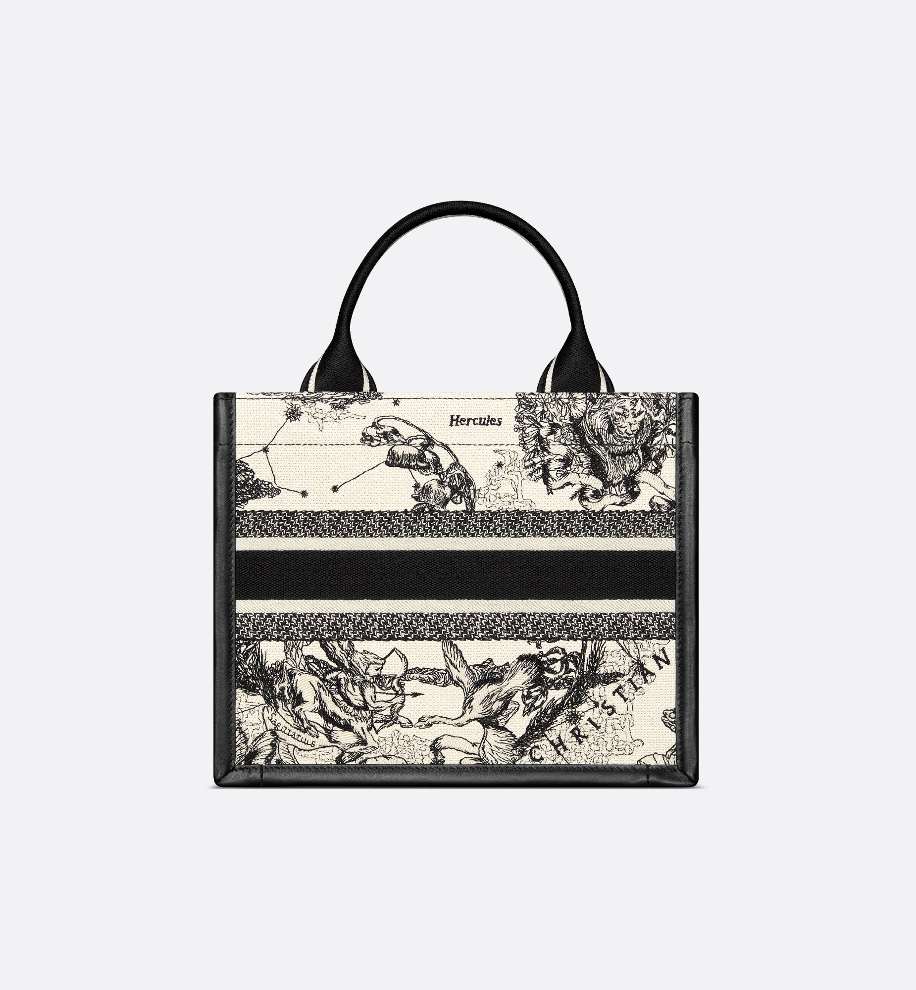 Dior Small Book Tote Bag M1325CETW_M06E