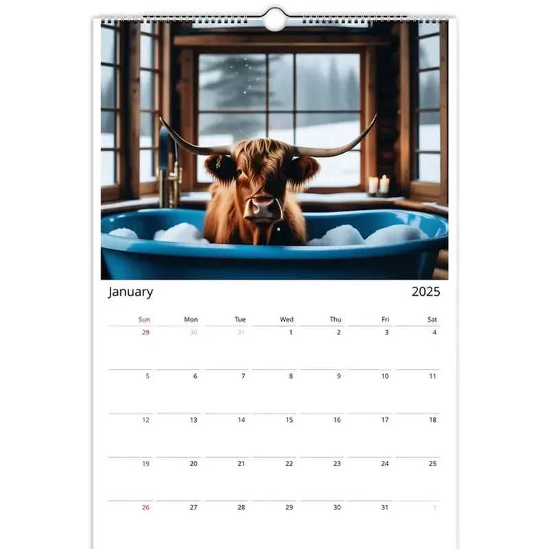 Highland Cow 2025 Wall Calendar