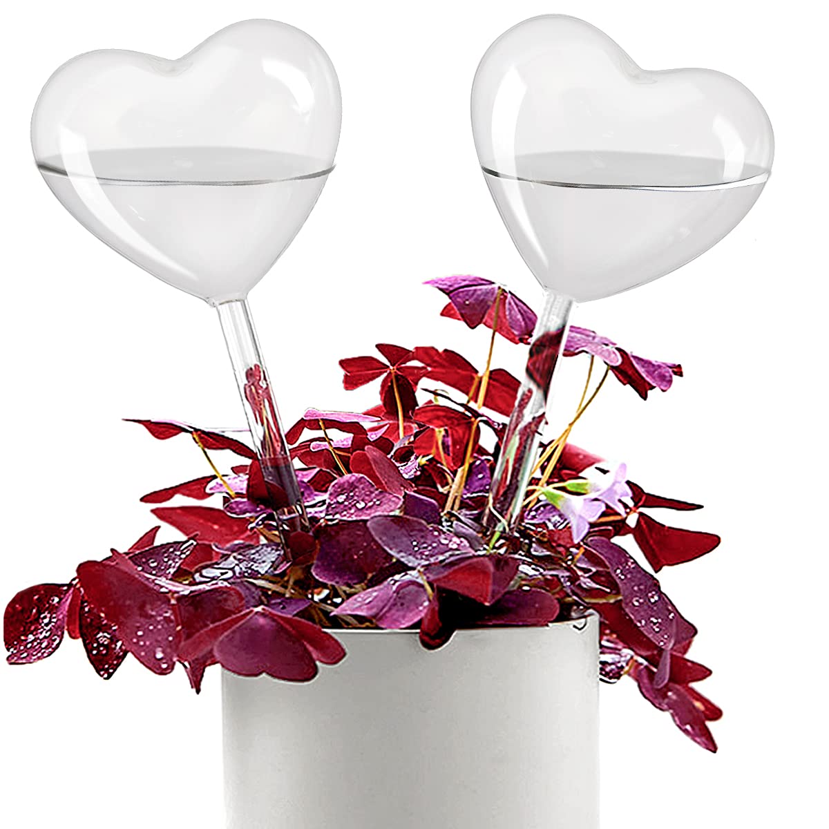 🔥Mother's Day Sale - 50% OFF🔥Plant Watering Globes Self Watering Planter Insert Spikes Drip Devices