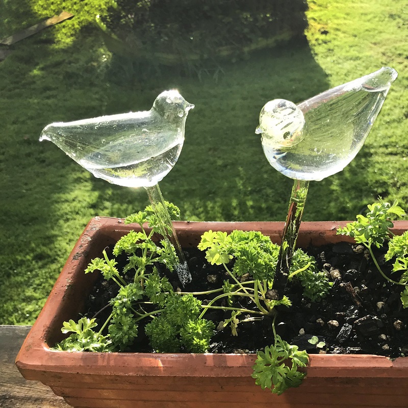(🔥Last Day Promotion-SAVE 50% OFF) 2PCS/SET Self-Watering Plant Glass Bulbs -- BUY 3 SETS FREE SHIPPING