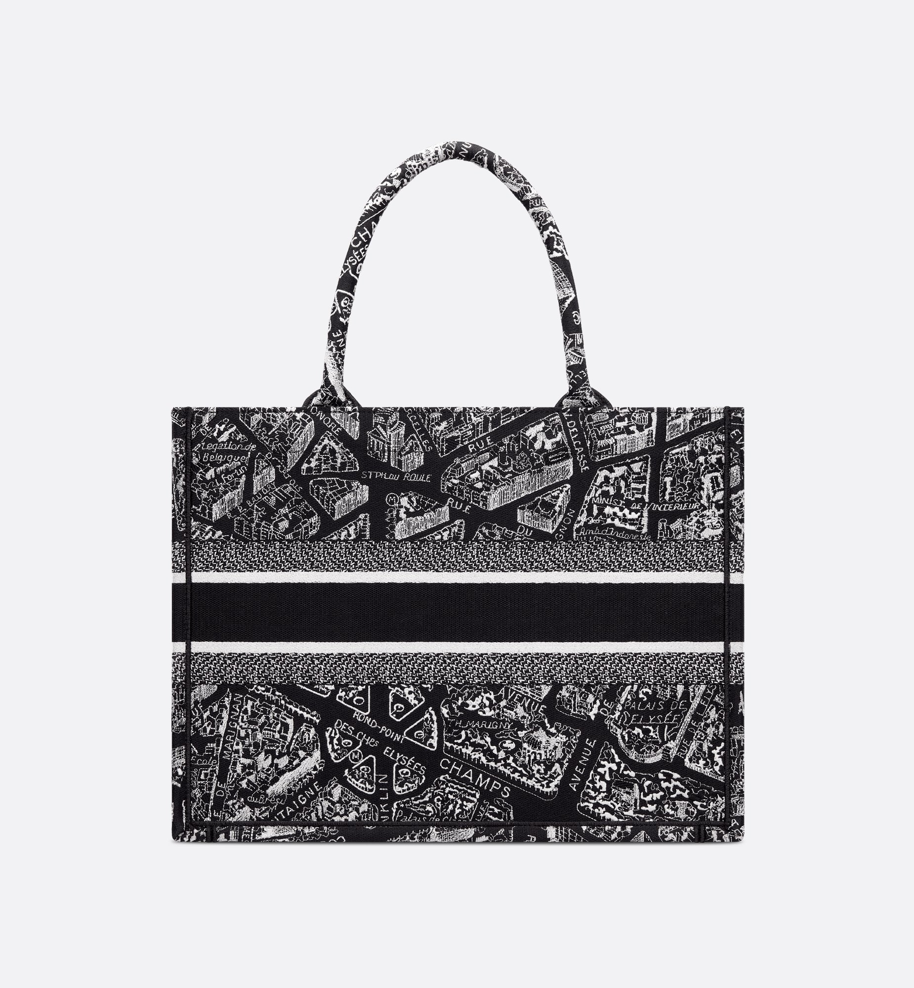 Dior Medium Book Tote Bag M1296ZOMP_M46I
