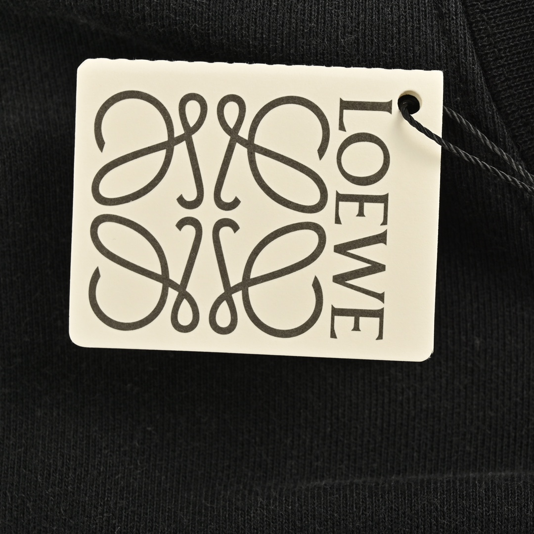 Loewe 24Fw gradient washed print crew neck sweatshirt