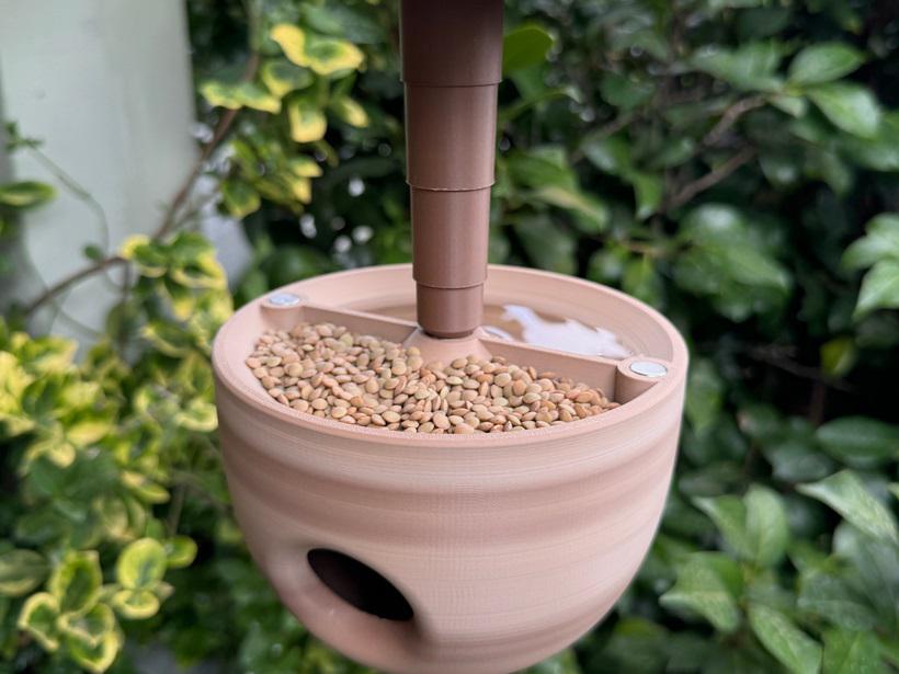 Collapsible Acorn Birdhouse & Bird Feeder