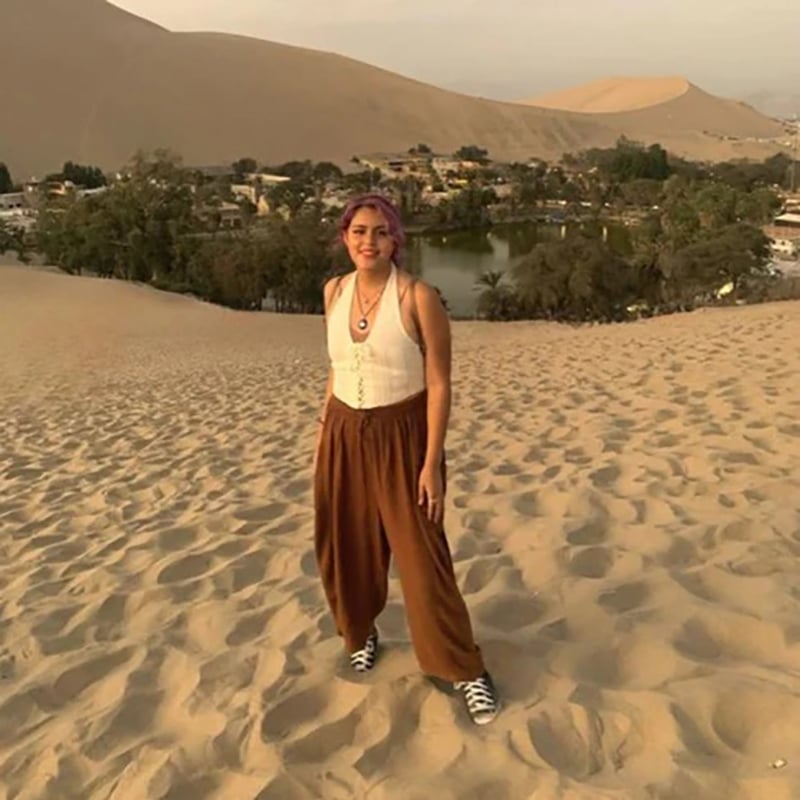💥Last Day Promotion-[SAVE 50% OFF]--New Quinn Elastic Waist Wide Leg Pants--BUY 2 GET 10% OFF & FREE SHIPPING