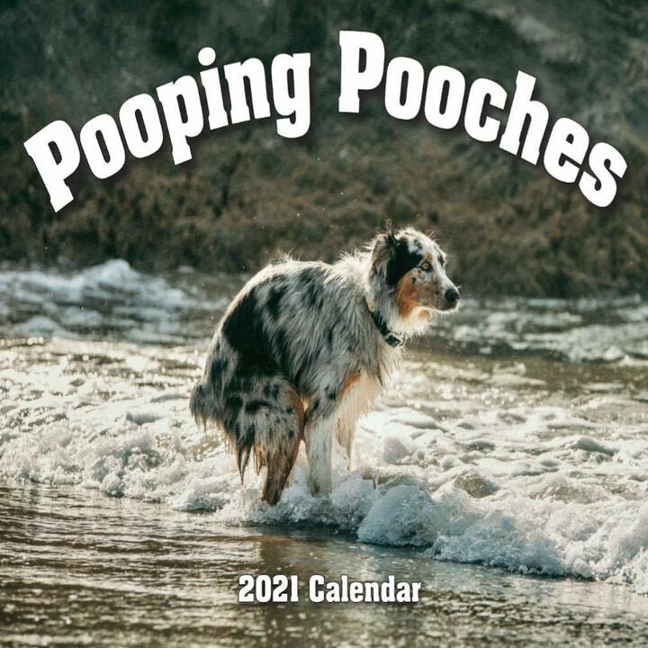 2021 Pooping Pooches White Elephant Gag Gift Calendar Calendar
