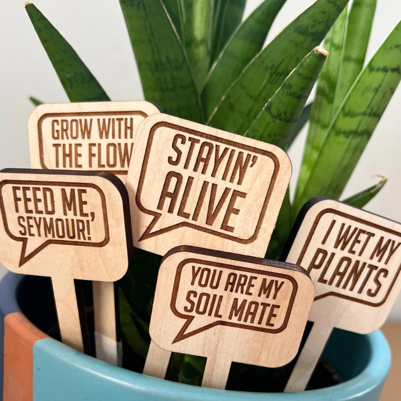 Woodplant Stakes | cheeky wooden plant markers