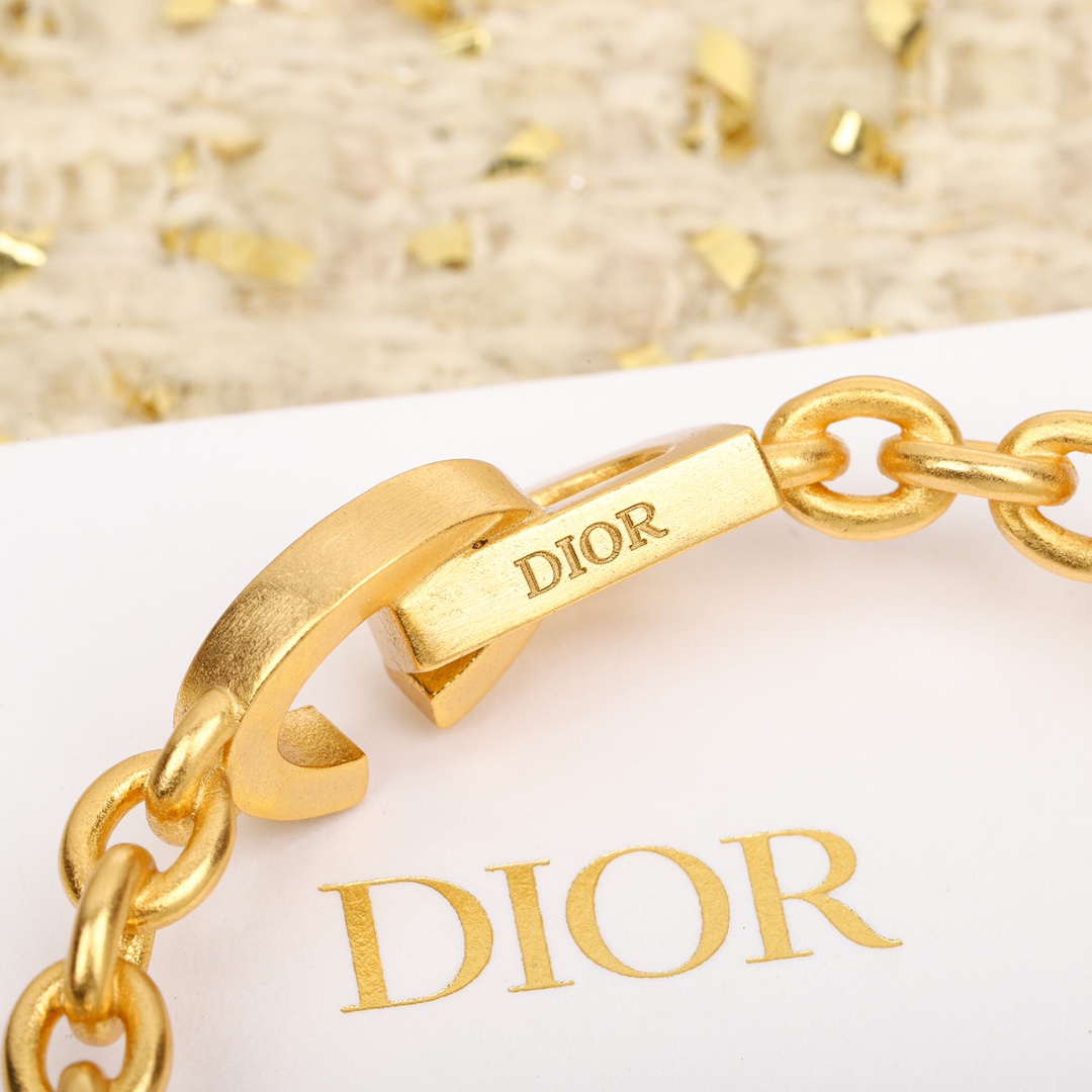 Dior Letter Chain Earrings