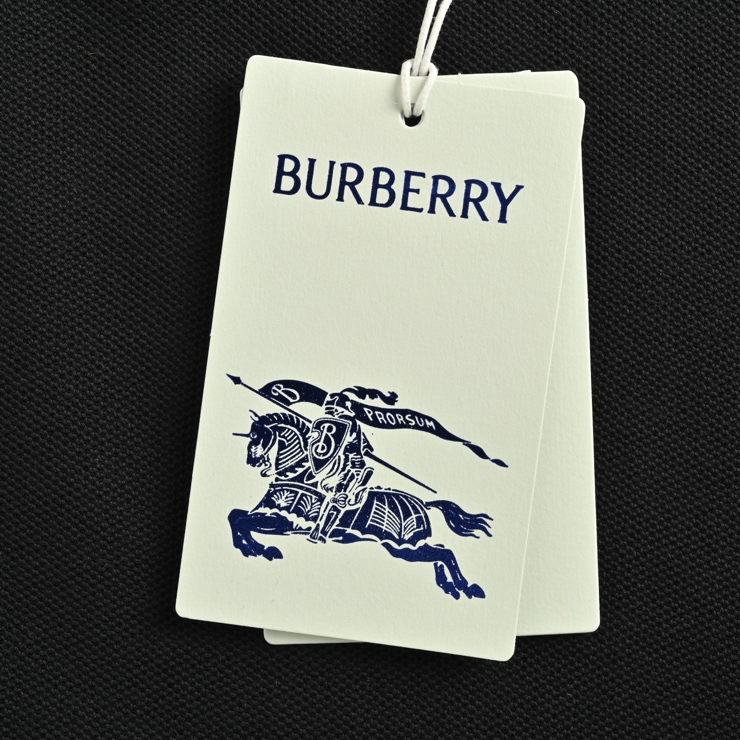 Burberry 25Fw Warhorse Embroidered Lapel Polo Long Sleeve