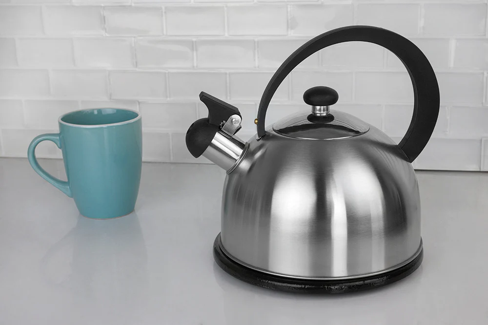 Home Basics  Stainless Steel Tea Kettle, Silver, 85 Ounces