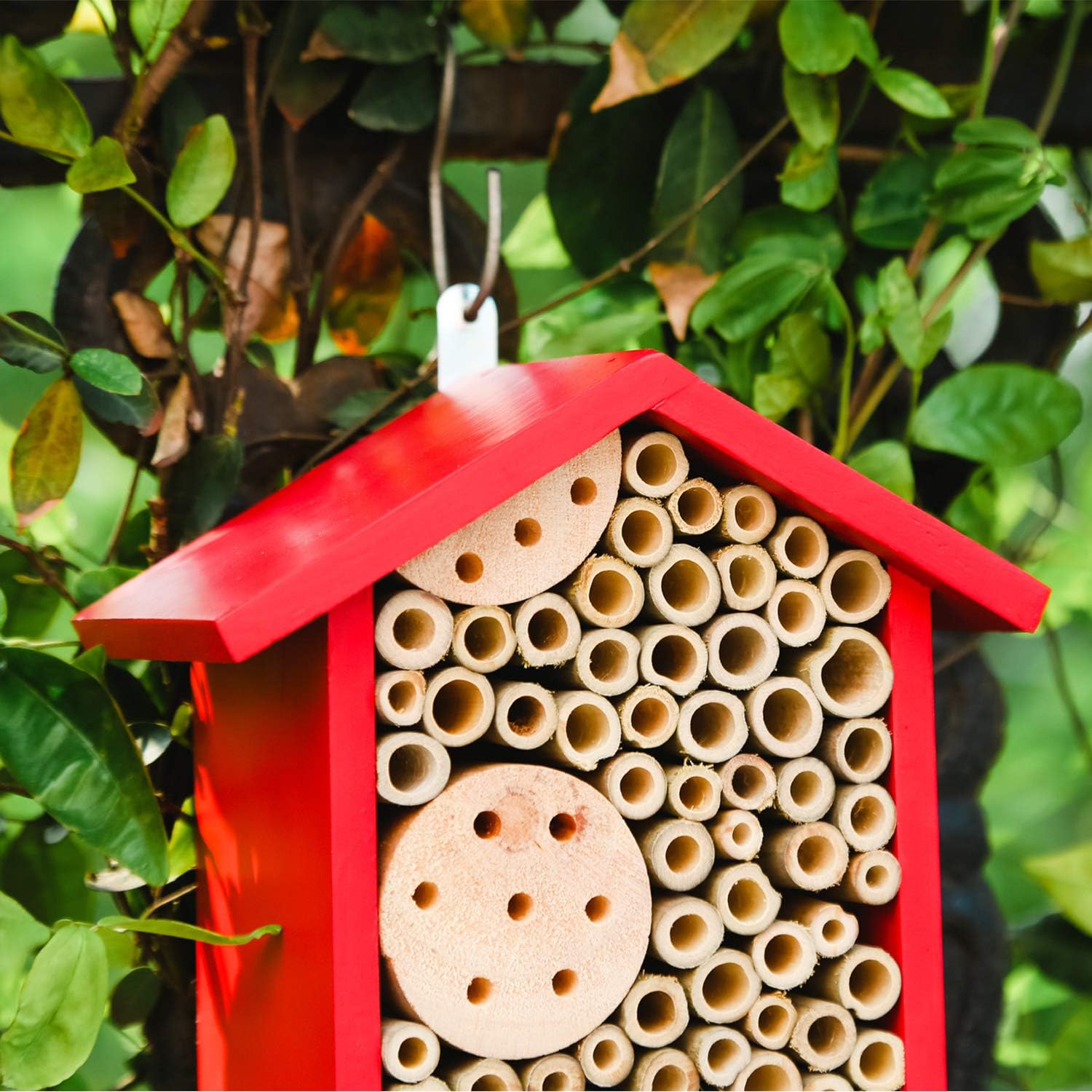 🔥ON SALE - 45% OFF🔥Natural Handmade Wooden Bee Hotel