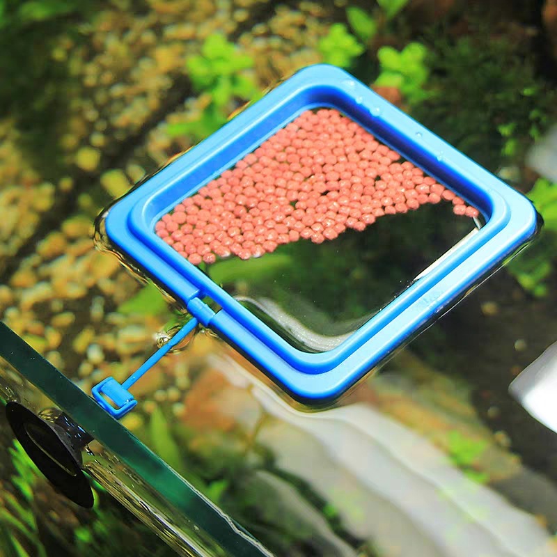 Fish Tank Ring Feeder Feeding Station