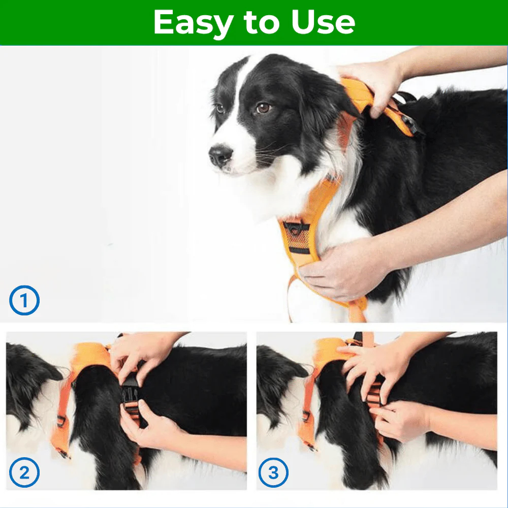 ComfyWalk - Comfort and Control in One