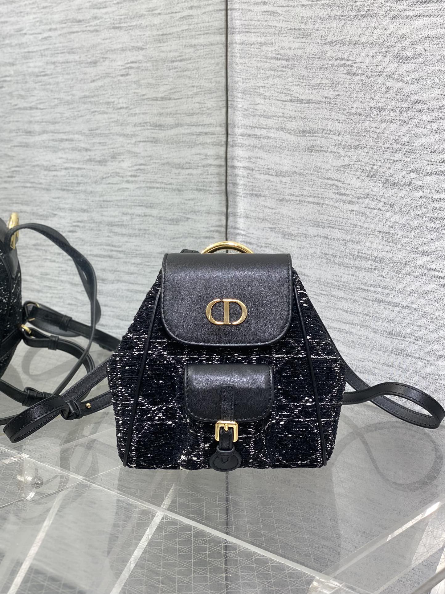 Dior Caro Autumn Winter Series Backpack Small
