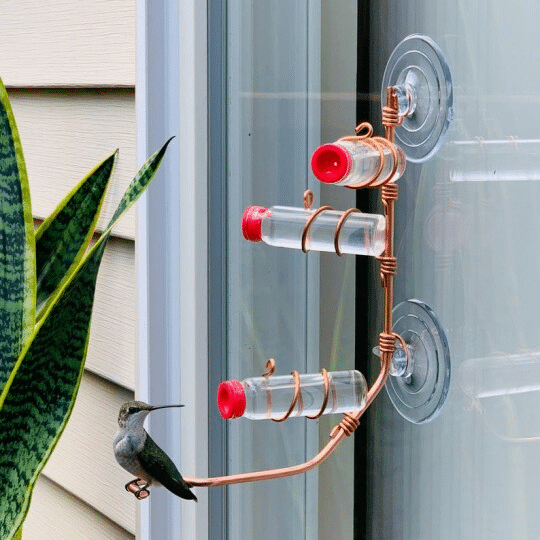 Modern 3 Station Window Hummingbird Feeder