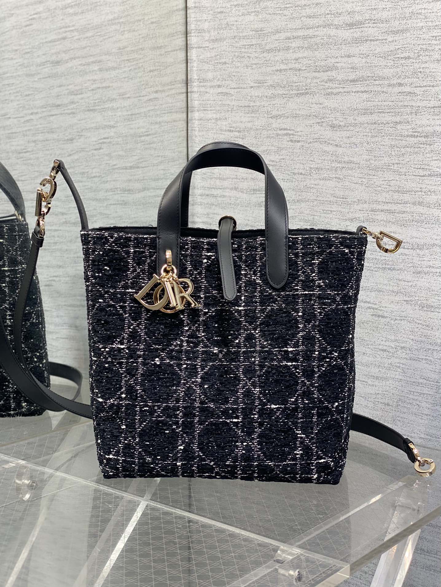Dior Toujours Vertical Series Medium