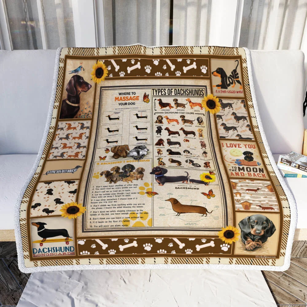 Dachshund Knowledge Sofa Throw Blanket