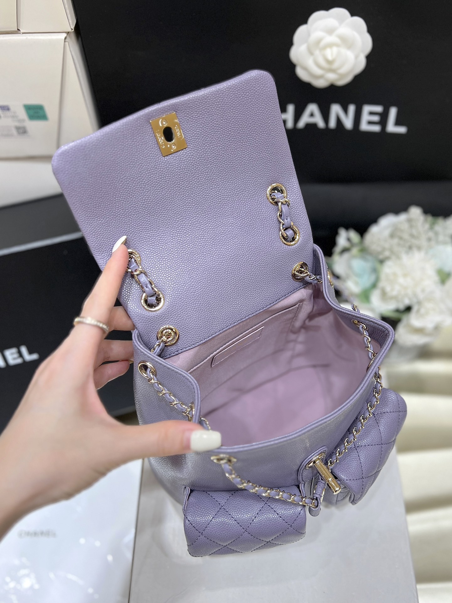 Chanel 24A duma double backpack 3860