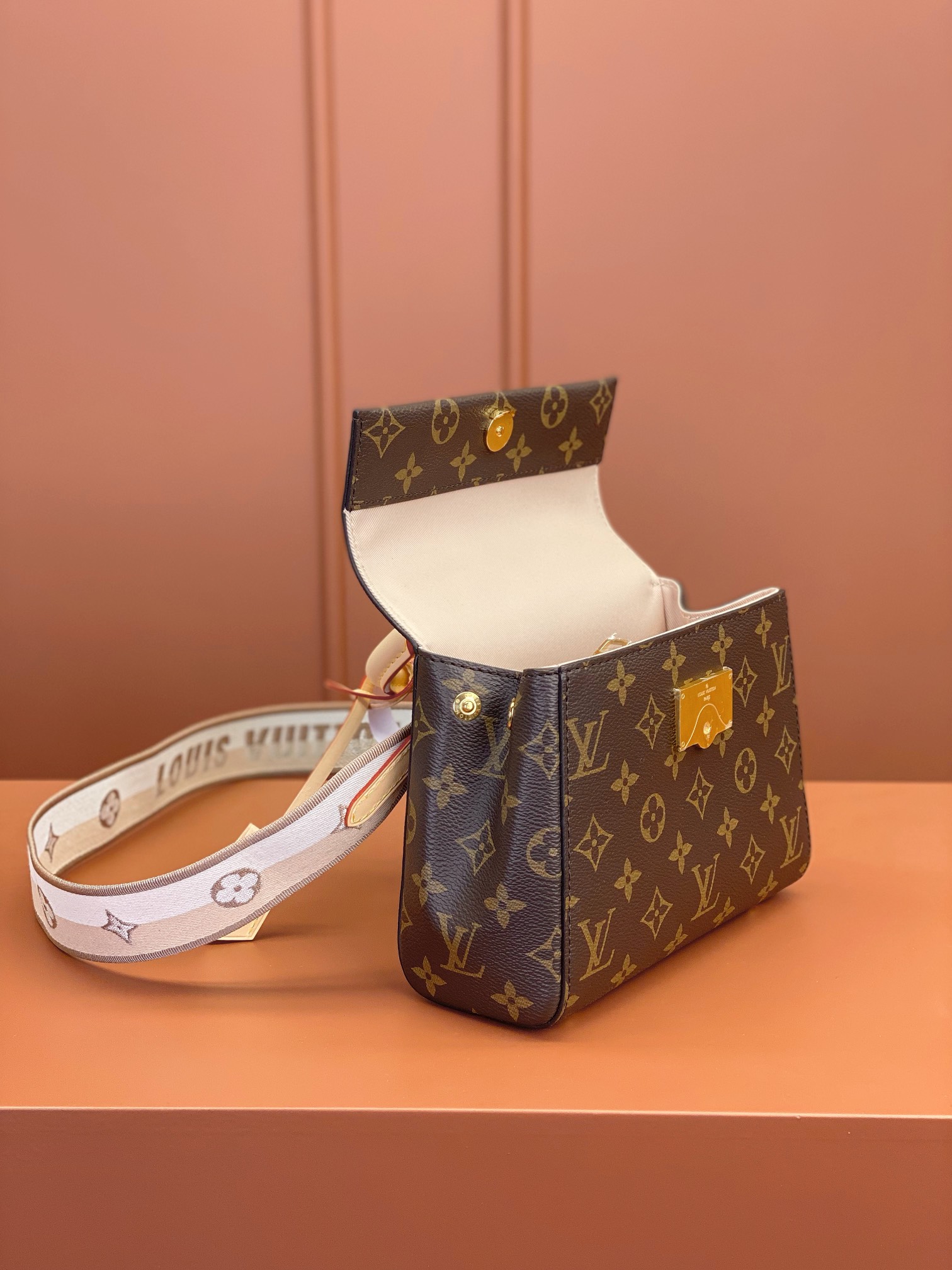 Louis Vuitton CLUNY Mini Bag M46055