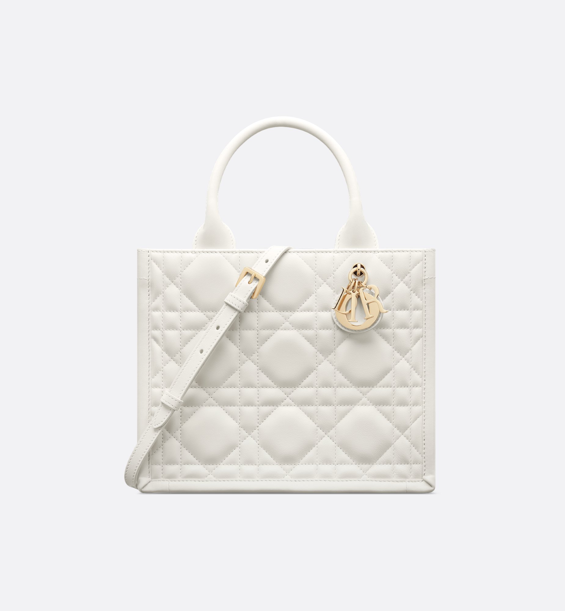 Dior Small Book Tote Bag M1325OWHP_M030