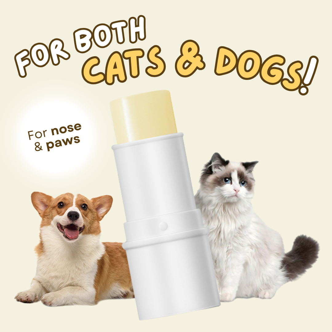 🔥2024 New Sale🔥Cat Dog Paw Ointment Stick