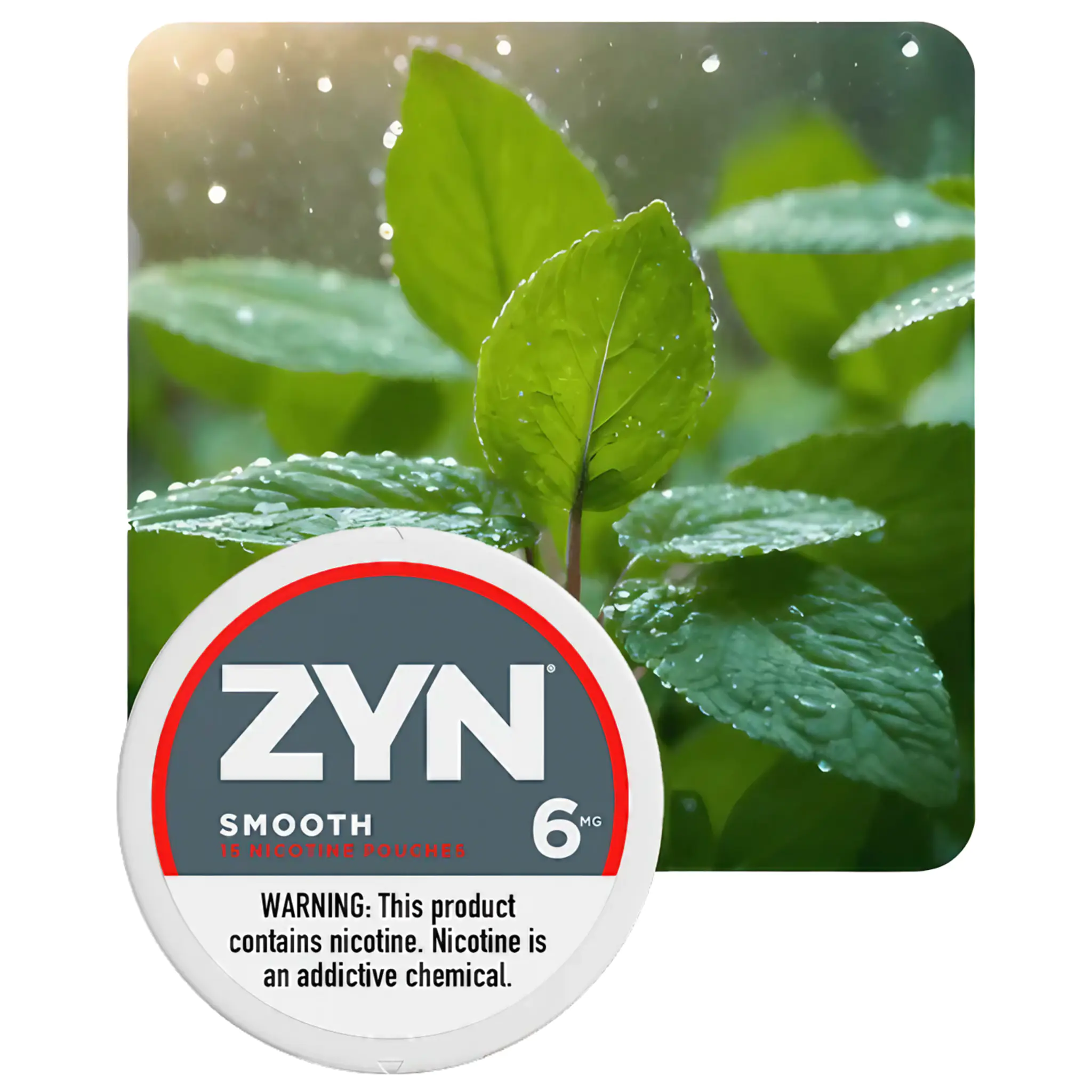 ZYN SMOOTH 6MG