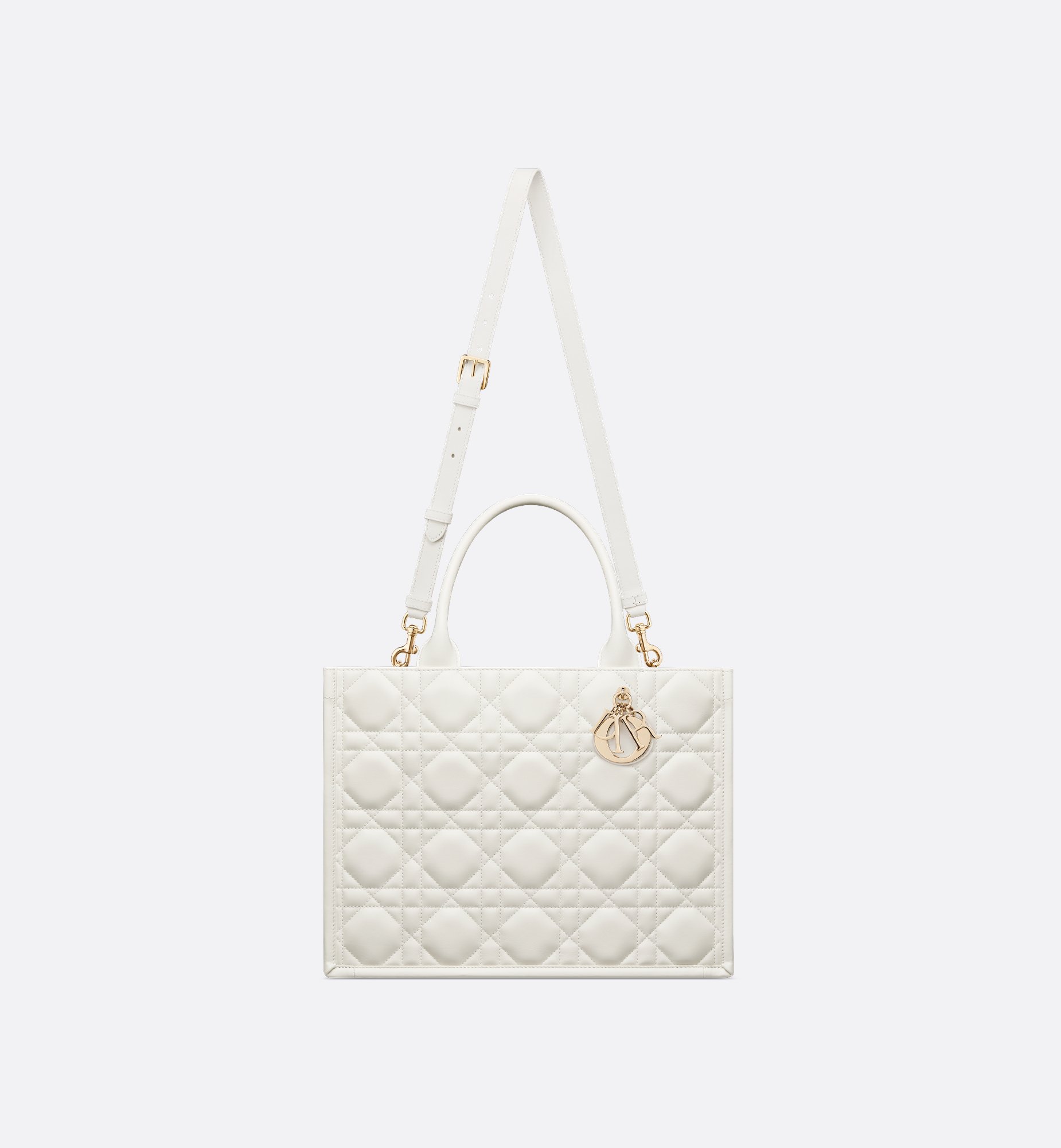 Dior Medium Book Tote Bag M1324OWHP_M030