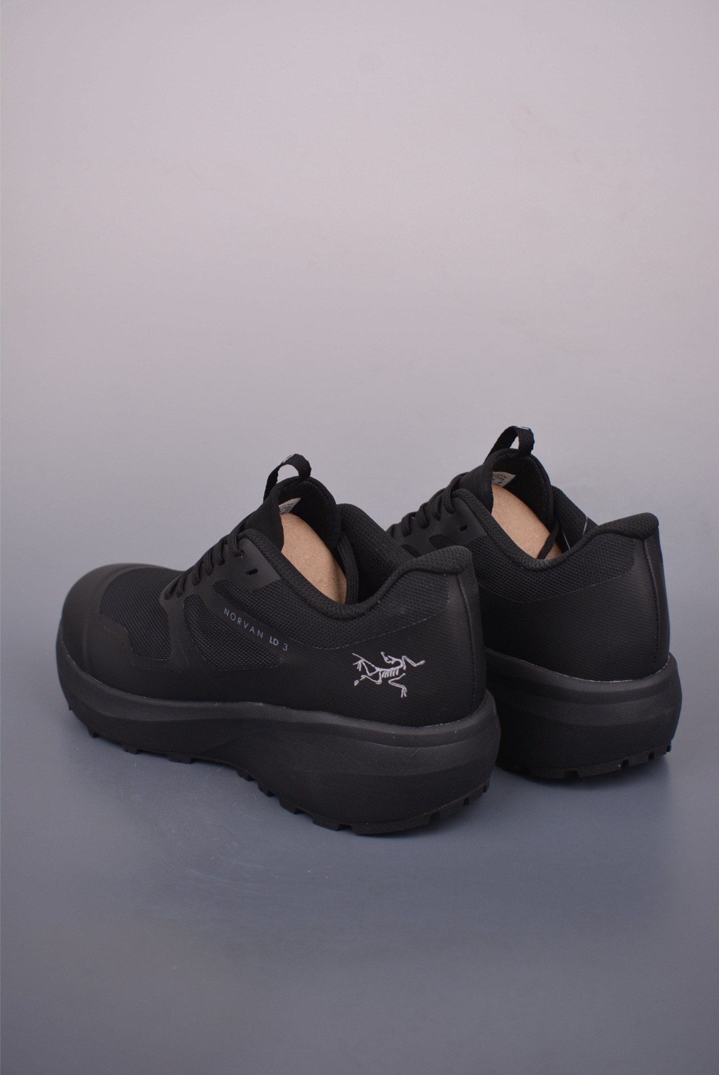 Arc'teryx NORV AN LD 3 Outdoor Sports Shoes 