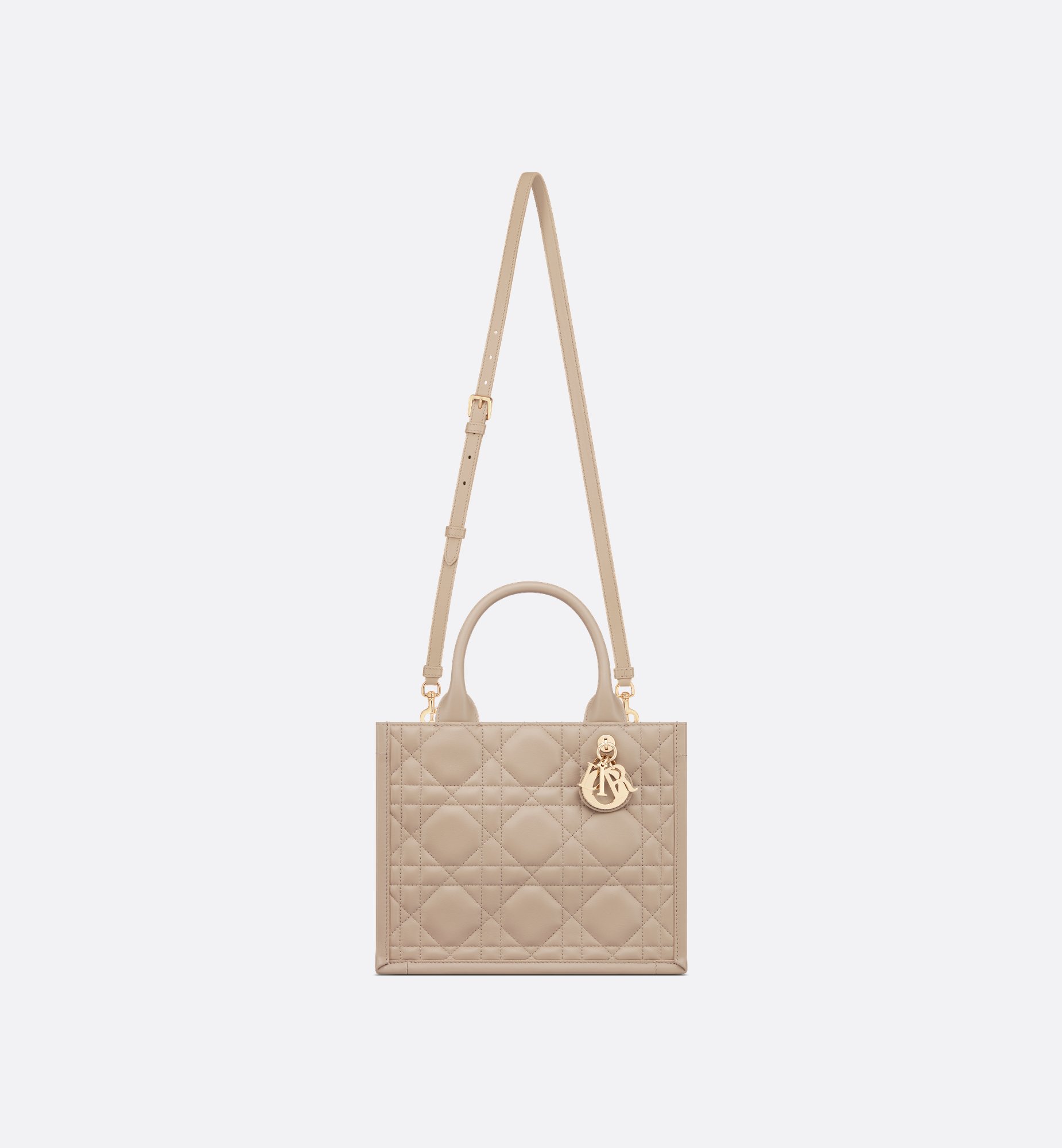 Dior Small Book Tote Bag M1325OWHP_M59U