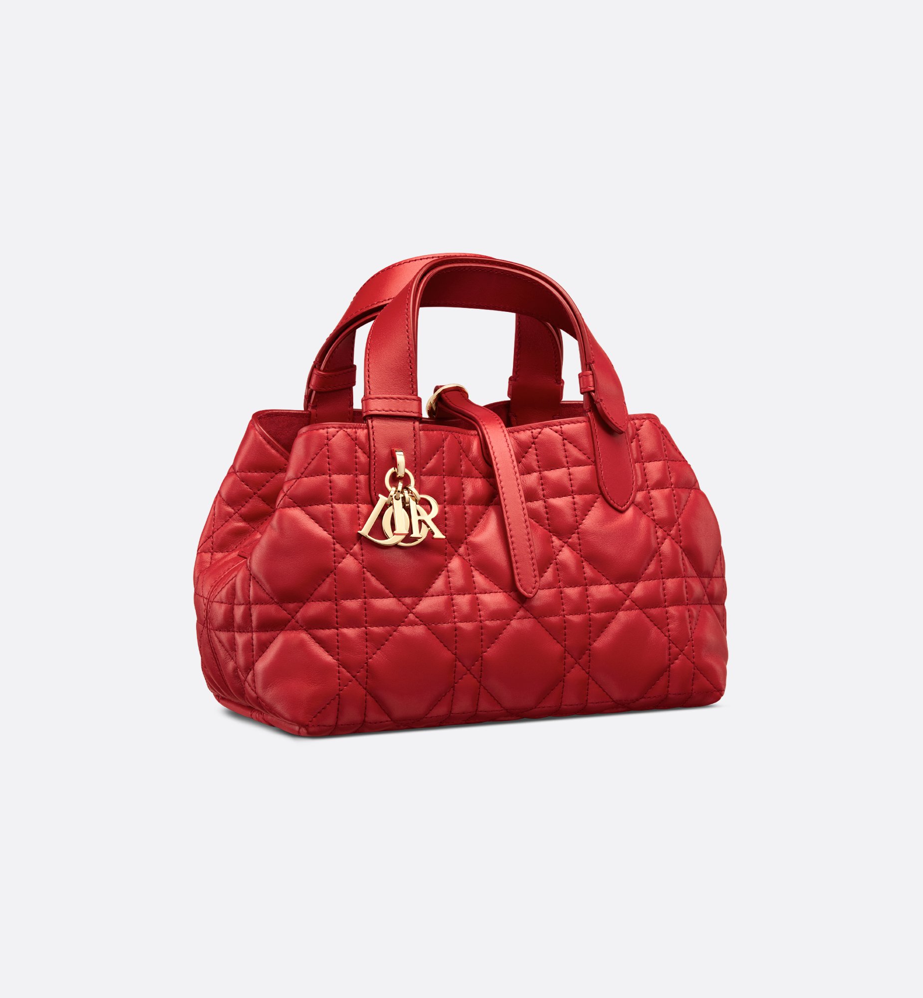 Dior Small Dioramour Dior Toujours Bag M2822OSHJ_M334