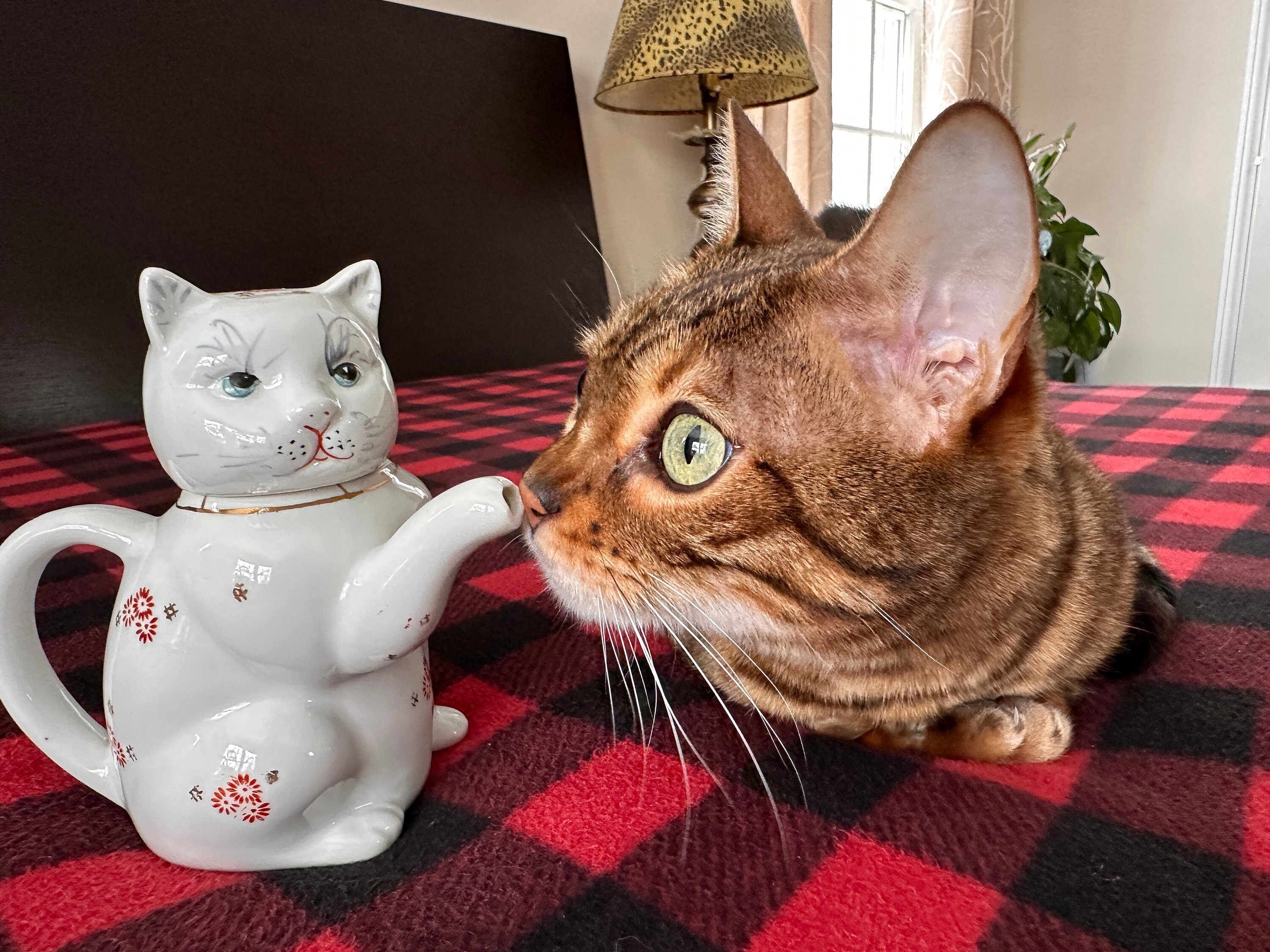 🔥ON SALE🔥Vintage White Cat-Shaped Flowers Teapots
