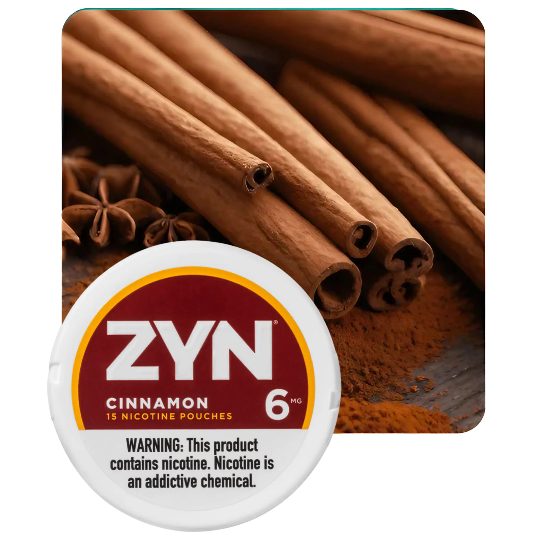 ZYN CINNAMON 6MG