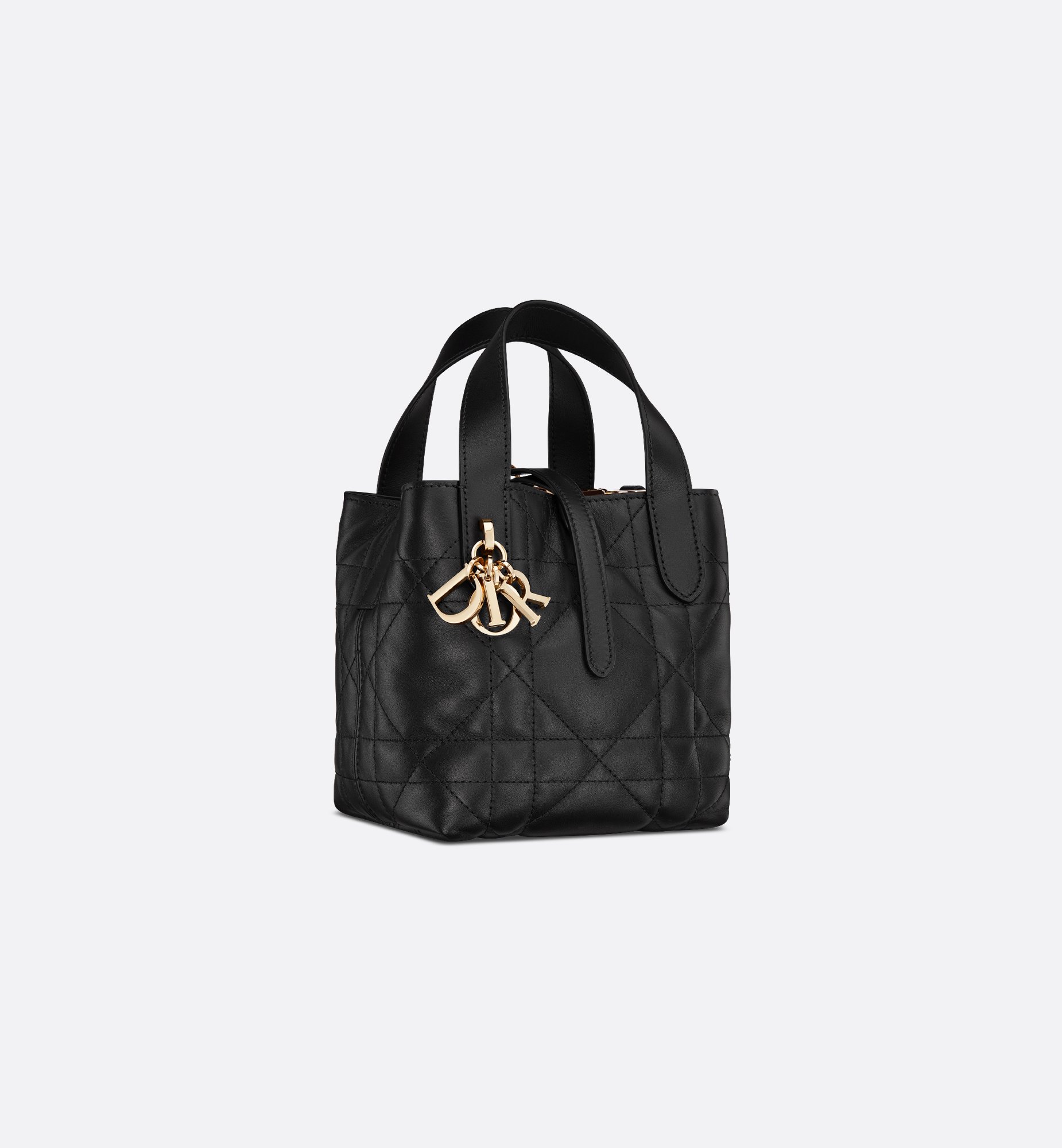 Dior Micro Dior Toujours Vertical Bag S6100OSNW_M900