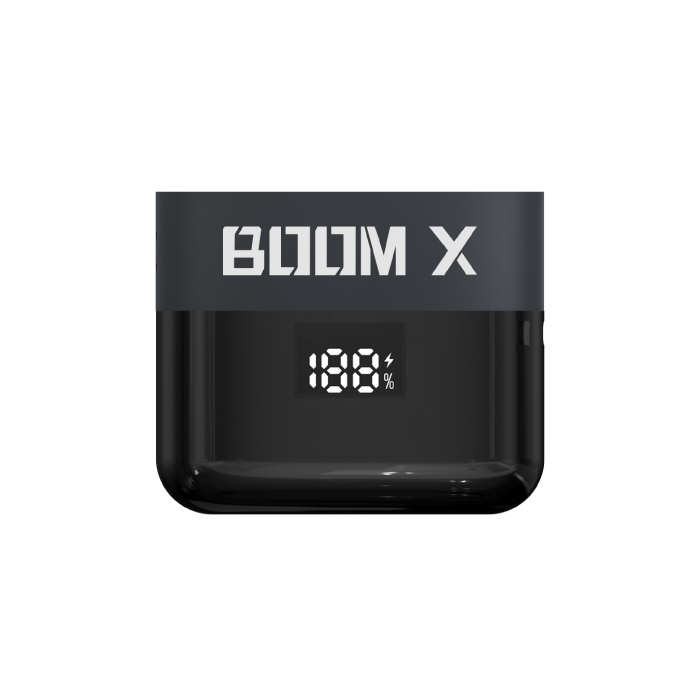 BOOM X Battery