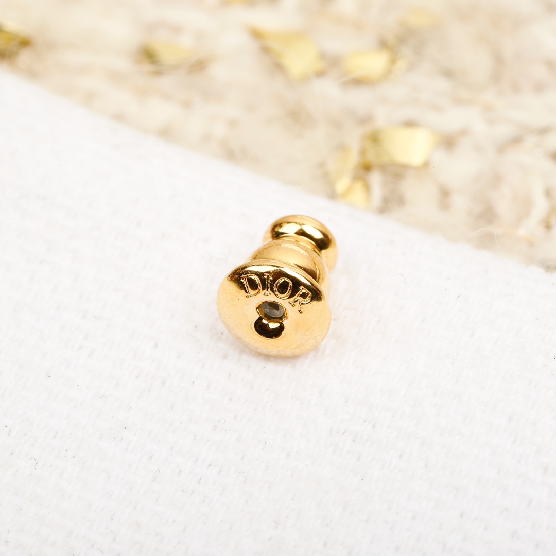 Dior hoop letter earrings