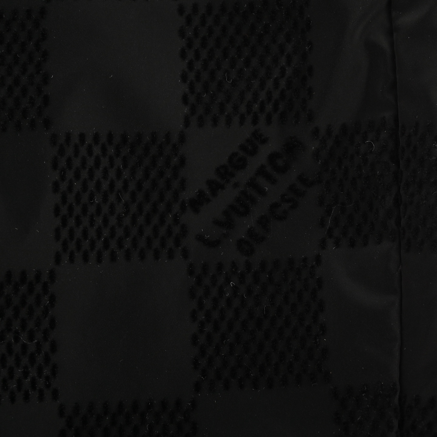 Louis Vuitton 24Fw Damier flocked checkerboard trousers