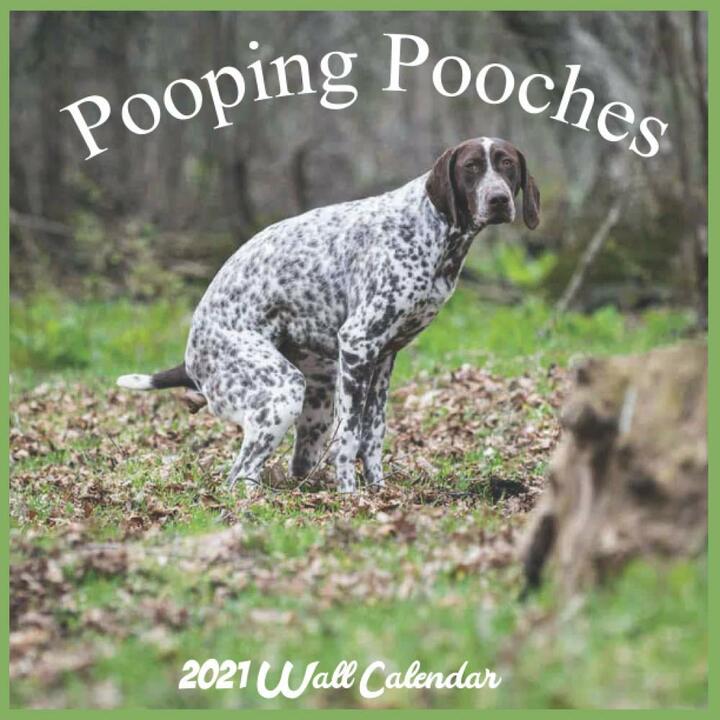 2021 Pooping Pooches White Elephant Gag Gift Calendar Calendar