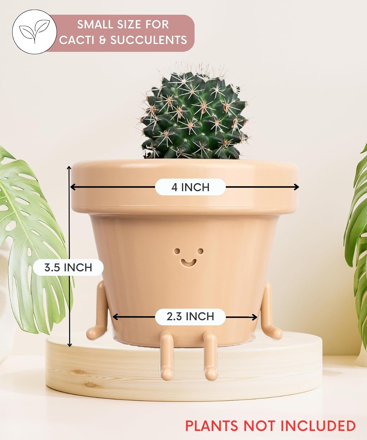 🔥HOT SALE🔥Happiest Little Indoor Planters On Earth