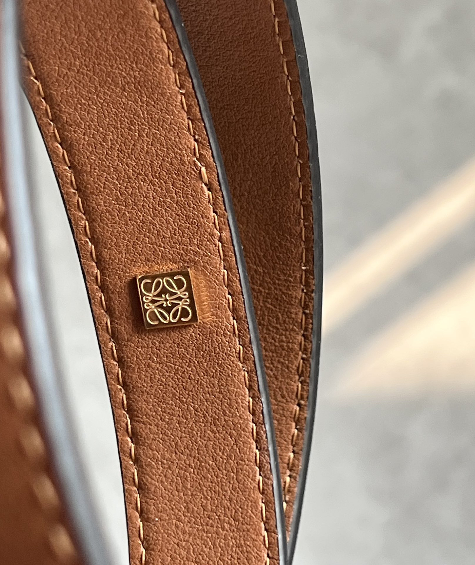 Loewe Hammock bag 0682