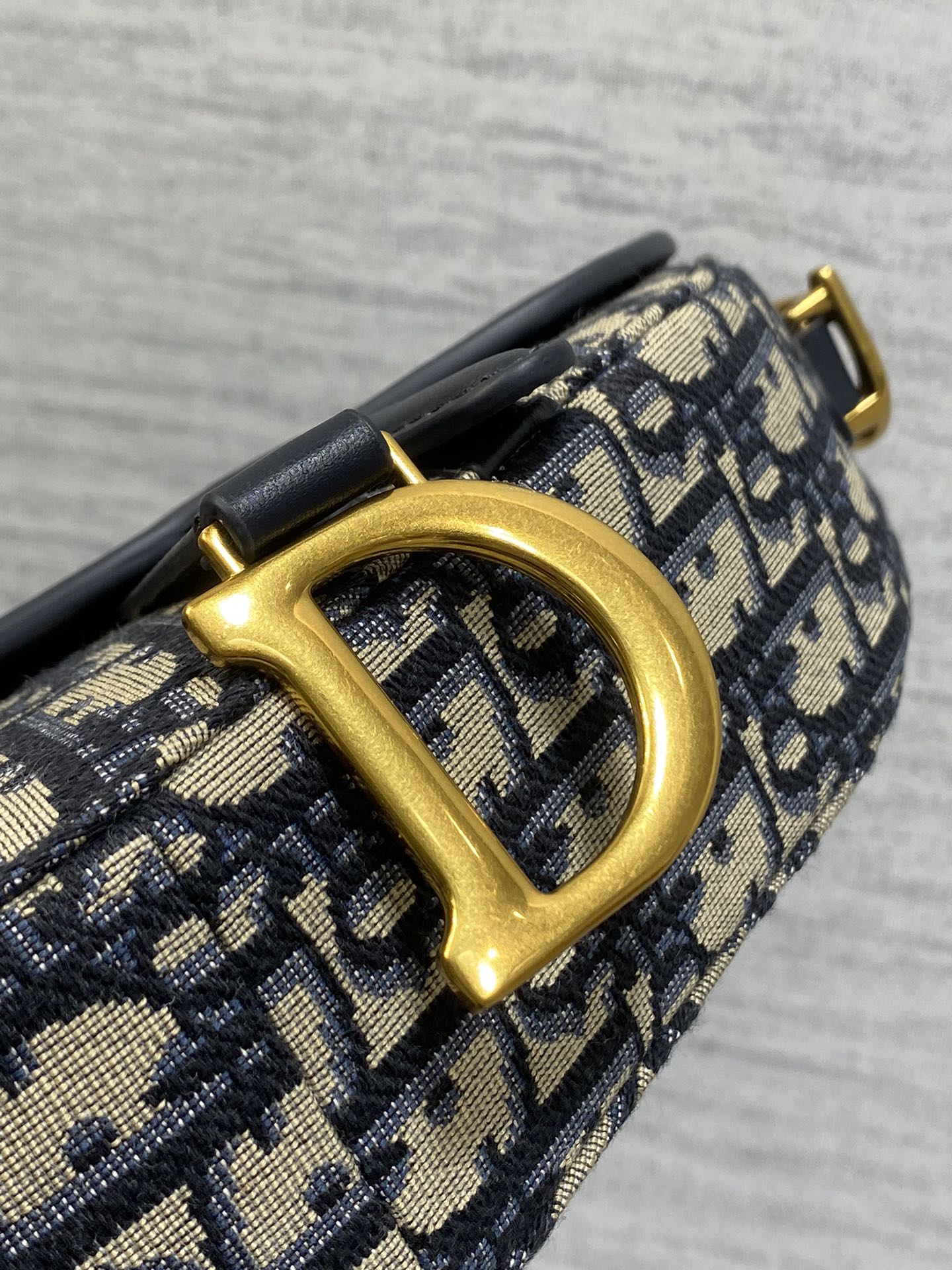 Dior Saddle Series Saddle Bag